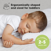 Organic Cotton Toddler Pillow with Pillowcase - Soft White
