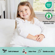 Organic Cotton Toddler Pillow with Pillowcase - White Stripe