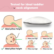 Organic Cotton Toddler Pillow with Pillowcase - Soft White