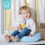 Toddler Pillow Set - Light Blue (2-Pack)
