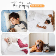 Washable Waterproof Bed Pads - Blue (4-Pack)